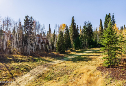 Image for 26  White Pine Canyon Road