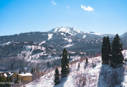Image for 1310  Mellow Mountain Road