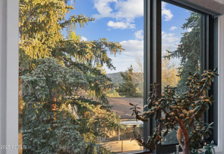 Image for 843  River Birch Court