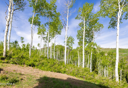 Image for 8903  Moonshadow Court