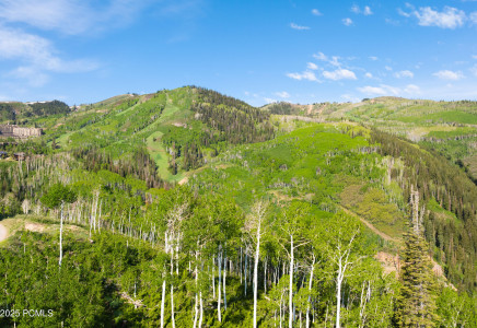 Image for 8903  Moonshadow Court