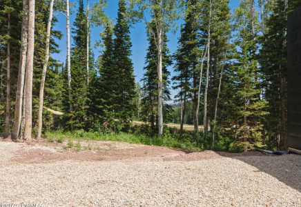 Image for 314  White Pine Canyon Road