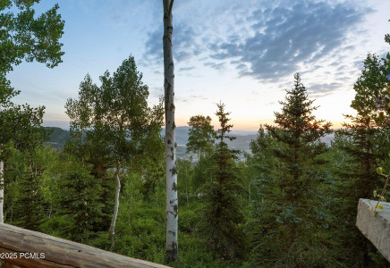 Image for 87  White Pne Cyn Road