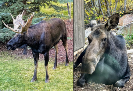 Image for 3495  Sun Ridge Drive