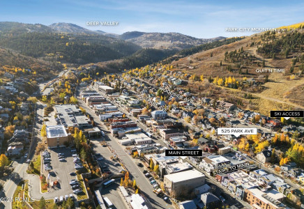 Image for 525  Park Avenue