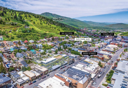 Image for 525  Park Avenue