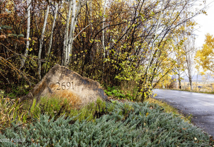 Image for 2691  Ruminant Road