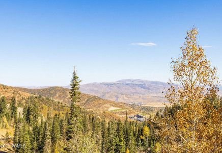 Image for 26  White Pine Canyon Road