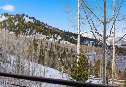 Image for 39  White Pine Canyon Road