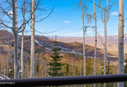 Image for 39  White Pine Canyon Road