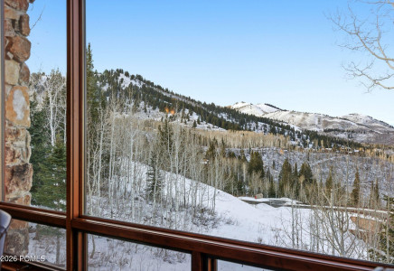 Image for 39  White Pine Canyon Road