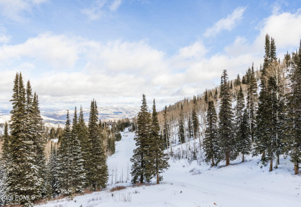 Image for 125  White Pine Canyon Road