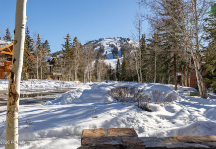 Image for 7826  Aster Lane