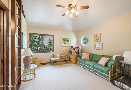 Image for 2808  American Saddler Drive