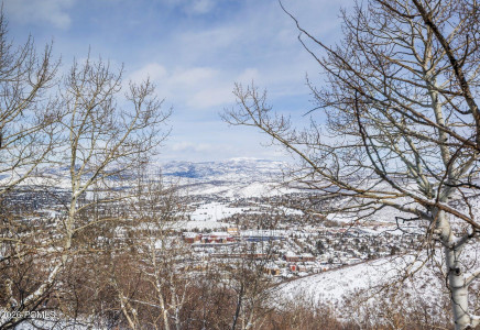 Image for 1355  Golden Way