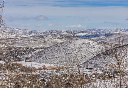 Image for 1355  Golden Way