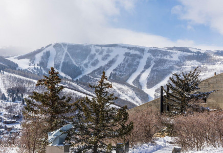 Image for 1355  Golden Way