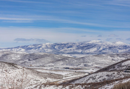 Image for 1355  Golden Way