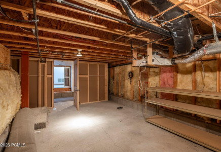 Image for 1355  Golden Way