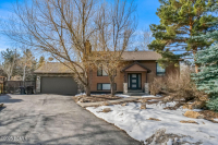 Image for 745  Quaking Aspen Court