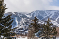 Image for 1355  Golden Way